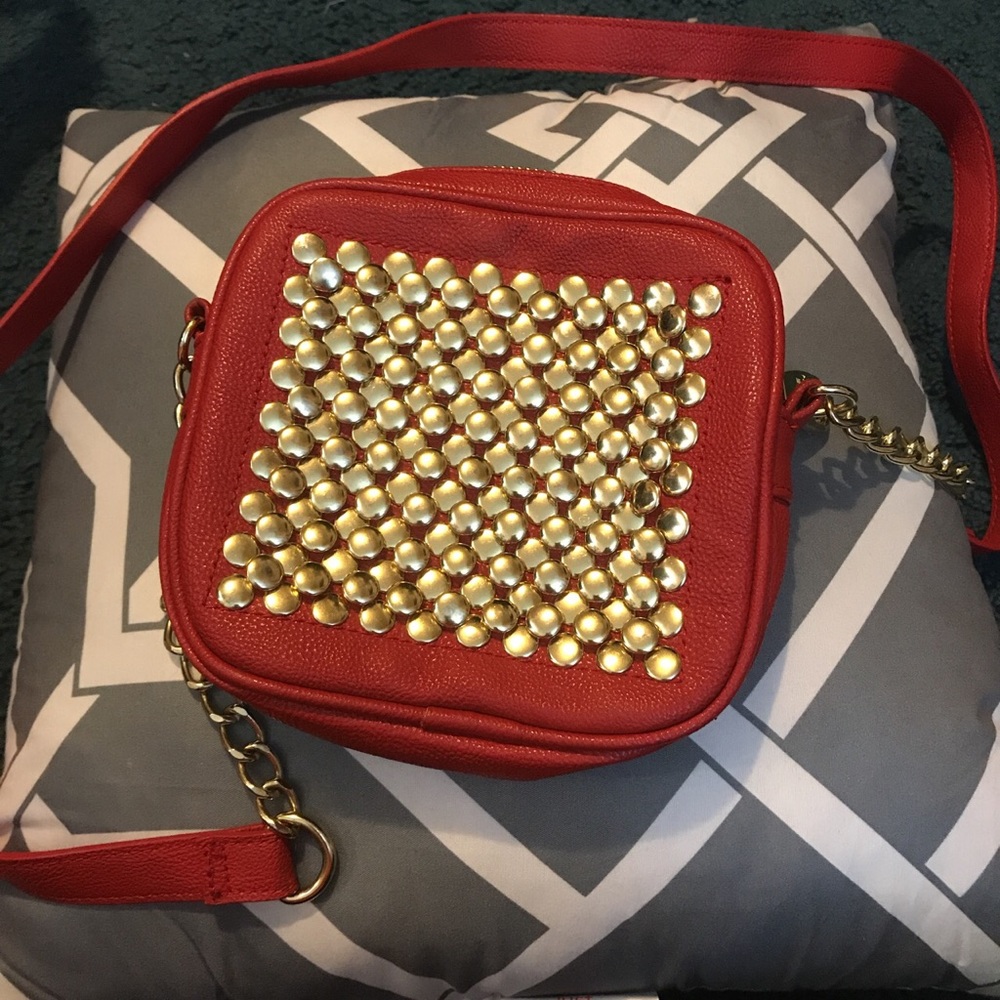 Steve Madden purse